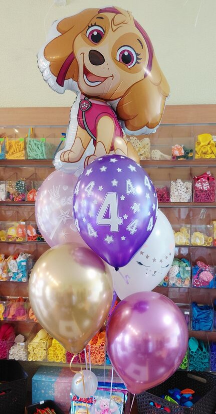 Paw patrol Skye #277